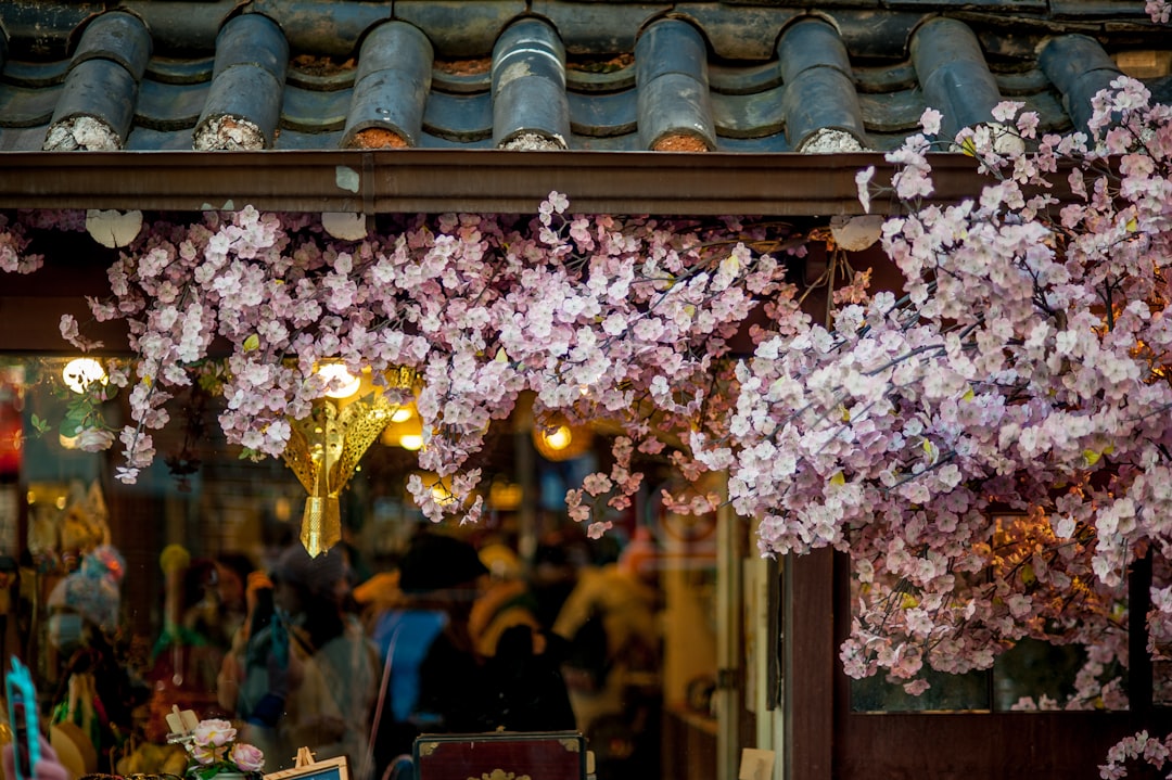 Tradycyjna koreańska architektura i krajobraz Seulu. Fot. Timothy Ries / Unsplash